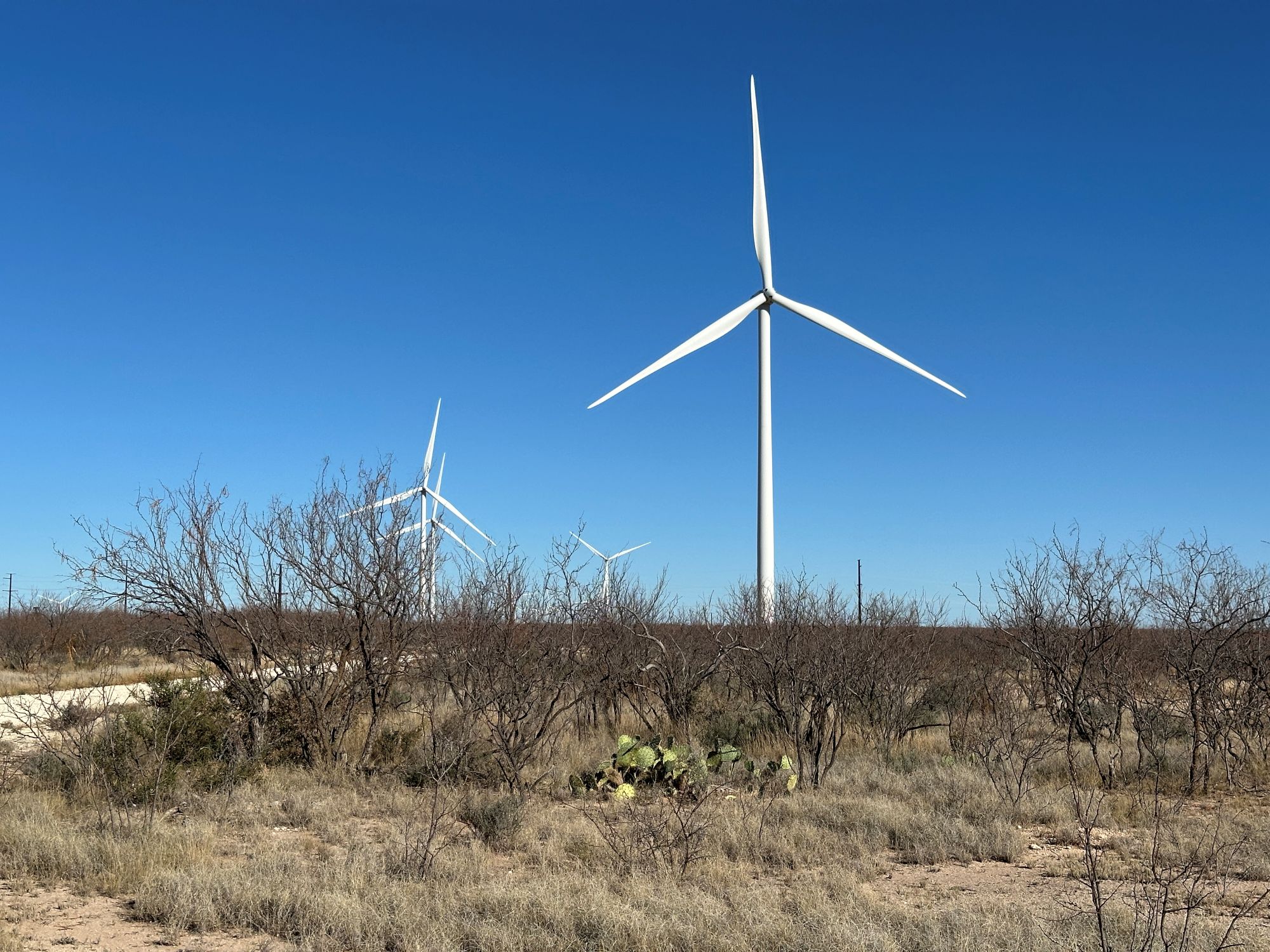 A-West-Texas-wind-farm-representative-of-the-locations-where-CNC-Onsite-Inc.-will-provide-specialized-crane-free-uptower-repair-services-